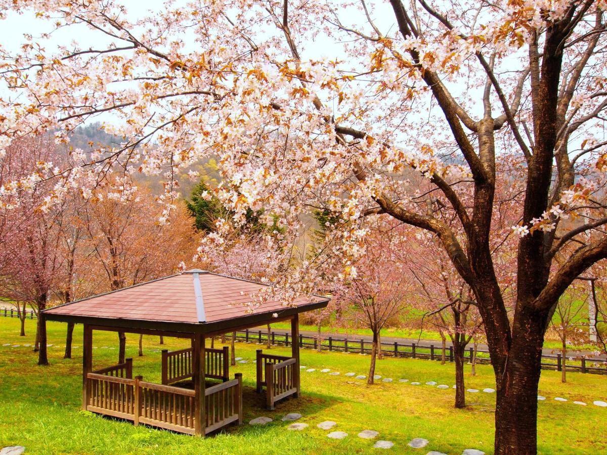 Jozankei View Hotel Sapporo Buitenkant foto